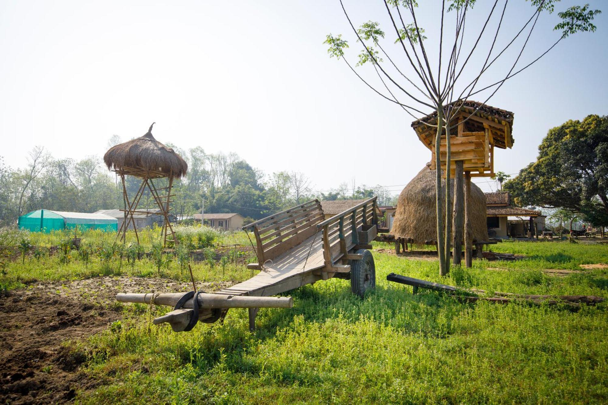 Tharu Community Lodge Kawasoti Exteriör bild